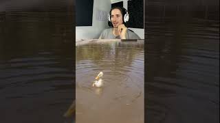 🦆 O Patinho “FAIL”