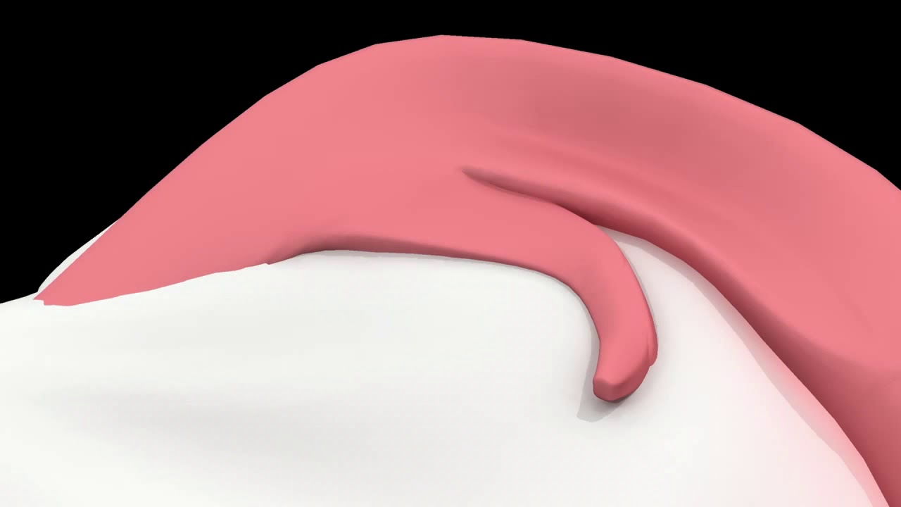 Julia Rosa Vasquez Loyola-17