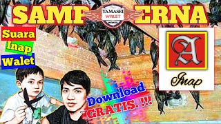 Download lagu Suara Inap Sampoerna, Suara Walet Original YWW mp3 Download lagu Suara Inap Sampoerna, Suara Walet Original YWW mp3