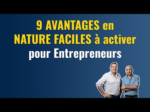 , title : '9 avantages en nature à activer pour dirigeants et salariés'
