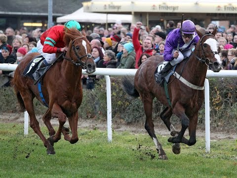 Dresden: Grosser Preis der Freiberger Bierspezialitäten Grosser Dresdner Herbstpreis (L)