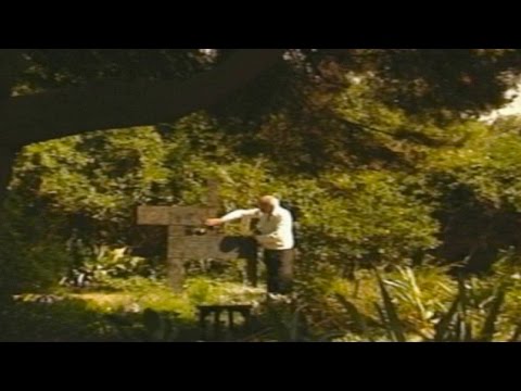 Francisco Matto / El misterio de la forma. (español)