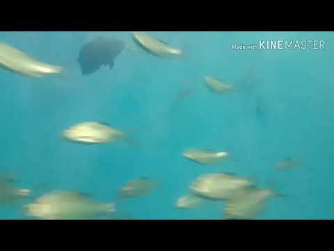 I went to Beach. And  water tunnel l omkar vlogs