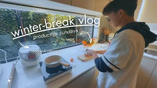 realistic cozy winter day 🌥️🌱// room cleaning, easy meals, skincare, gym, good habits + more!