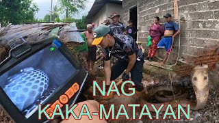 JUMBO COBRA LUMUWA NG WALONG ITLOG