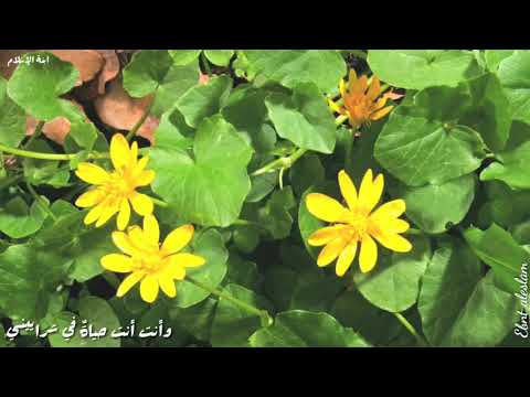 " إني ذكرتك" عبد العزيز آل تويم (الوصف)