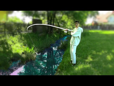 ŁOWIĘ RYBY w ROWIE ! *spełniłem marzenie*