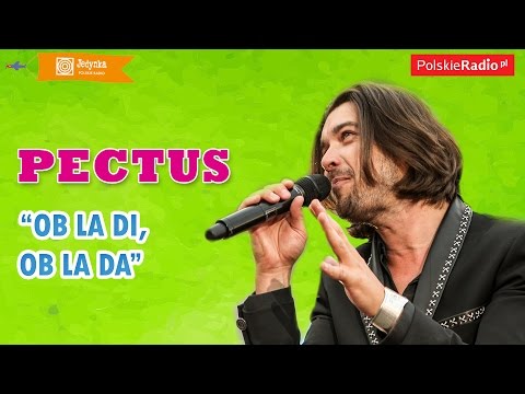 Pectus: Ob La Di, Ob La Da LIVE (Jedynka)