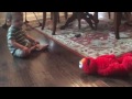 Tickle Me Elmo