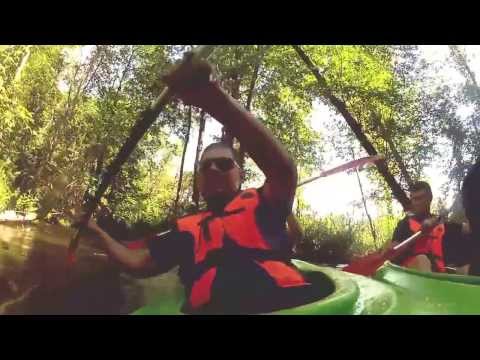 Baidares Avicii -- Levels