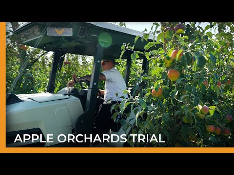 Wayne Homes - Customer Success Story (Mark Stennes - Business Development and Client Relations)