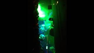 Brand New - Flying at Tree Level