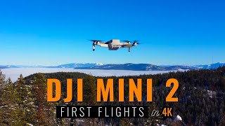 DJI Mini 2 | First Flights in 4K