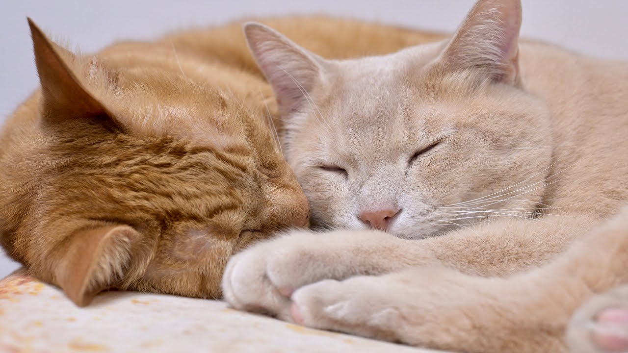 2025年も残りわずか！振り返り！