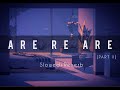 Are Re Are Part II Slowed Reverb Dil To Pagal Hai Tune S Tour