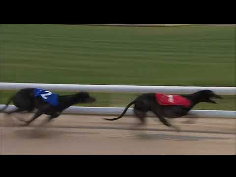 2017 SELECT STAKES - DOROTAS WILDCAT