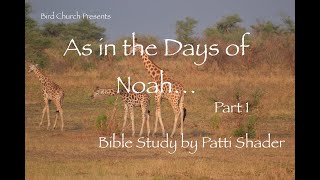 Pt. 1: As In the Days of Noah...  