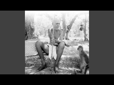 Ch. 10 ("The Soul Shines Like Lord Shiva")