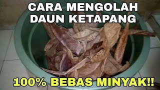 Download lagu Cara Mengolah Daun Ketapang | Bebas Minyak!! mp3