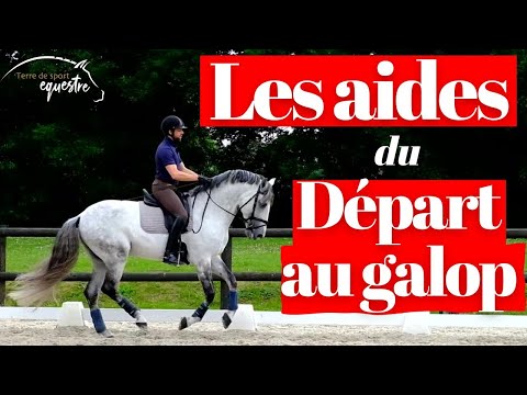 Les aides du départ au galop