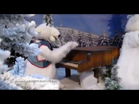 BERNGI E (KEE GBKP 135)