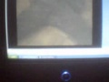 Police S W A T Masochism Training Mp4