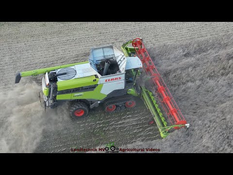 Claas - John Deere - Hawe / Rapsernte - Rapeseed Harvest  2023 pt1