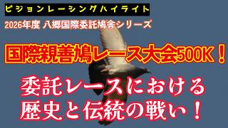2026年度「八郷国際親善鳩レース大会500Kレース」ハイライト！