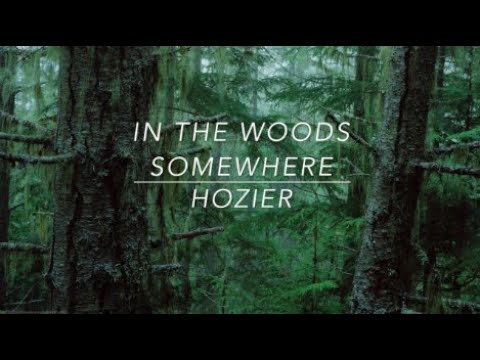 In The Woods Somewhere video