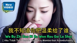 我不知道你把温柔给了谁 [ Wo Bu Zhi Dao Ni Ba Wen Rou Gei Le Shei ] 🎤王娜 - Wang Na
