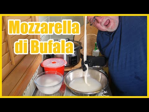 The Secret to Making Delicious Mozzarella di latte di Bufala! (Buffalo Mozzarella)