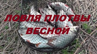 Ловля плотвы красноперки густеры на реке в затоках