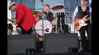 Moanin' Ronnie Earl at Tampa Bay Blues Festival 2015