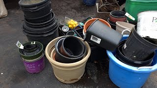 Creating a New Space For Container Gardening