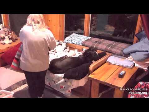 Chaos n Sizzle with Heather nite sitter 1110pm 172020