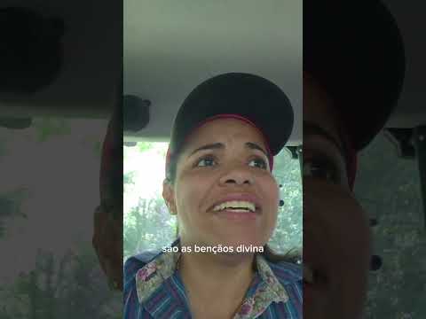 AVENTURA DE TRATOR NO INTERIOR DO PARANÁ | Travessia do Rio Macaco e Plantio da Soja em Roncador