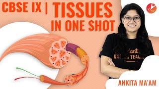 Tissues in One-Shot | CBSE Class 9  Biology | Science Chapter 6 | Tissues Crash Course NCERT Vedantu
