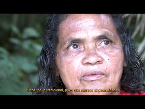 Carrapato, Saberes Ancestrais e Futuro Sustentável