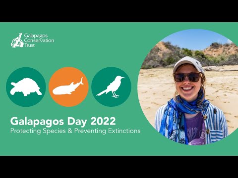 Threats to Biodiversity in the Galapagos Marine Reserve - YouTube