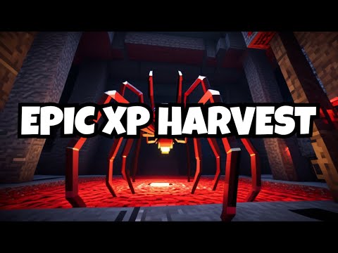 Wolveow's Insane Spider XP Farm Trick!!