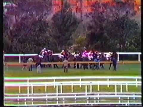 Rosehill Flag Start - 1984 Missile Stakes winner Plus Vite 100/1