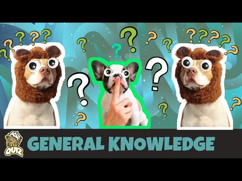 General Knowledge Online Pub Quiz - (Questions & Answers) | TRIVIA QUIZ | PUB QUIZ #PUBQUIZCHANNEL