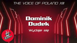 Kadr z teledysku Wydaje się tekst piosenki Dominik Dudek