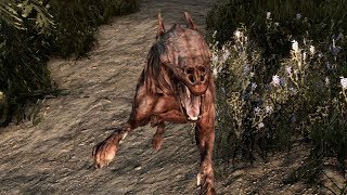 Mihail's skinned/zombie hounds – Part 192: Skyrim Xbox One