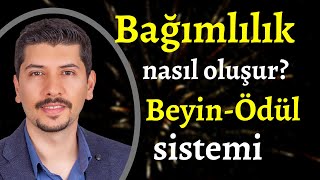 Bağımlılık nedir ? / Bağımlılık nasıl oluşur ? / Beyin-Ödül sistemi