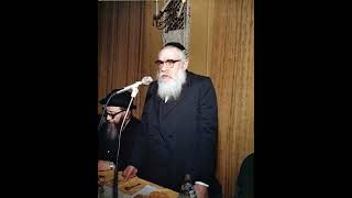 סיפורי הבעש"ט איך הגיע הנד"ן לר' וואלף קיציס באופן מופלא, הרב שלמה זלמן העכט