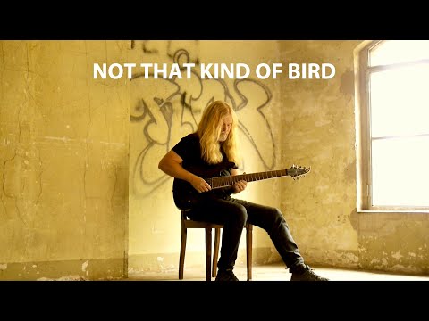 Mattias IA Eklundh - Not That Kind Of Bird