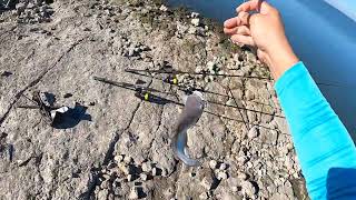 Quick Day Catfishing Trip at Choke Canyon