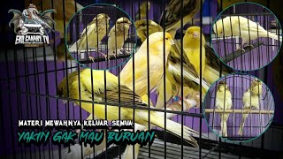 Download lagu 27 April 2026  FULL MATERINYA BURUAN MEWAH' POLLL. mp3