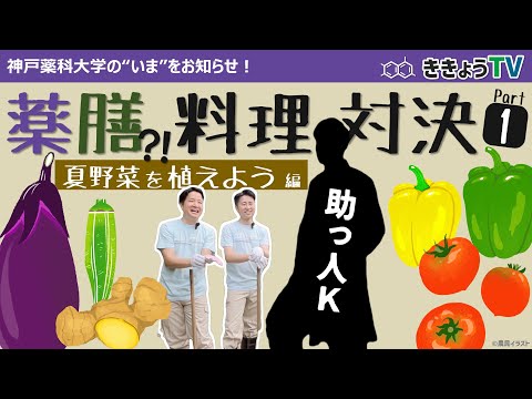 【ききょうTV】薬膳料理対決 part1～夏野菜を植えよう～